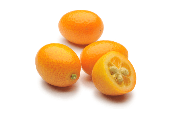 Kumquat