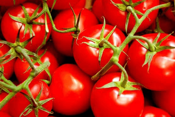 tomato
