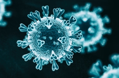 What is Coronavirus (Covid-19): Symptoms & Prevention