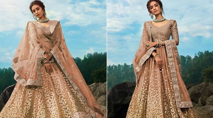 Heeramandi Dress for the Budget-Conscious Showcasing Stunning Anarkali, Lehenga, Sarees and Jewelry